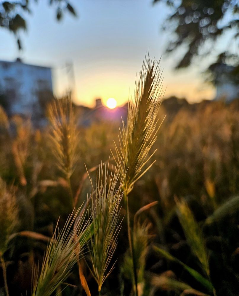 Photograph by София