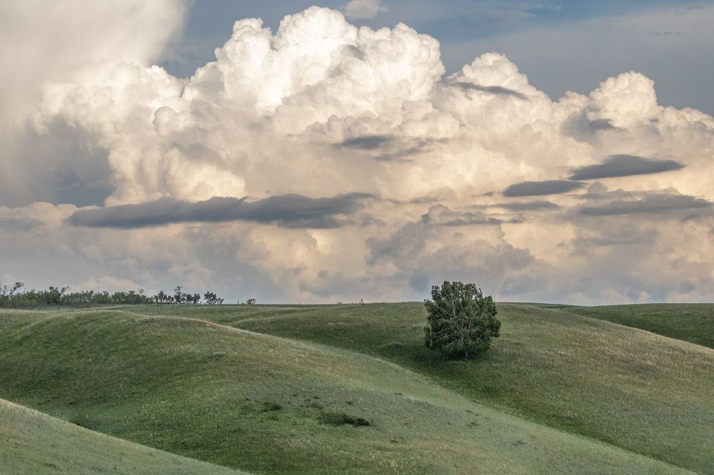 Photograph by Vitaly Lapin