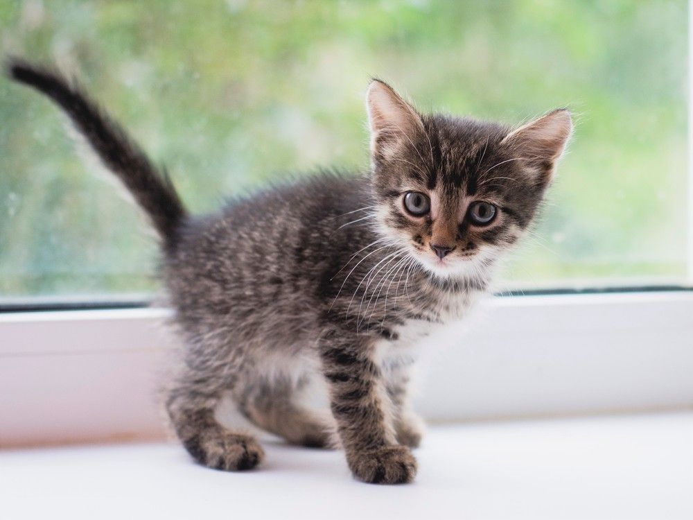 Photograph by Юлия Воскобойникова