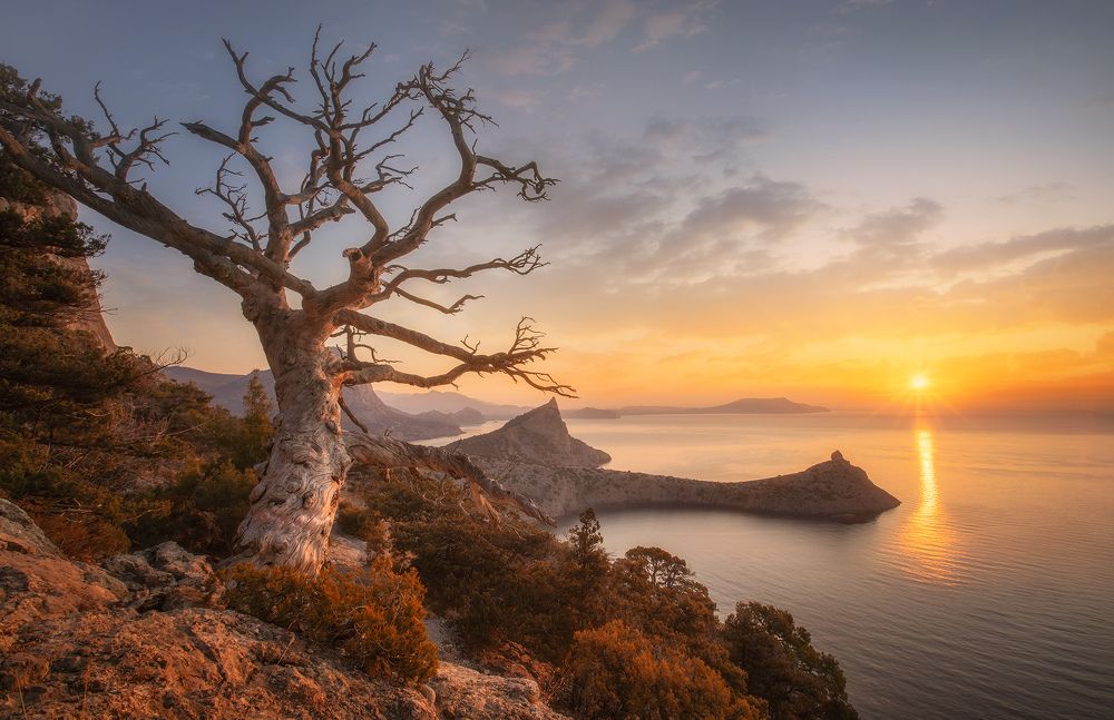 Photograph by Костенко Александр