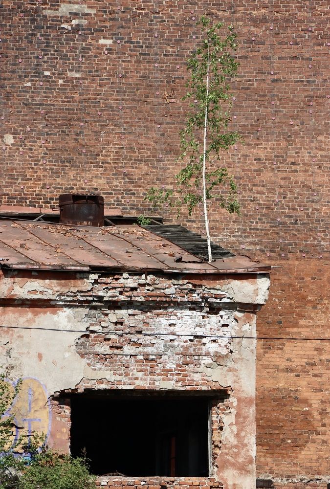 Photograph by Олег Банковский