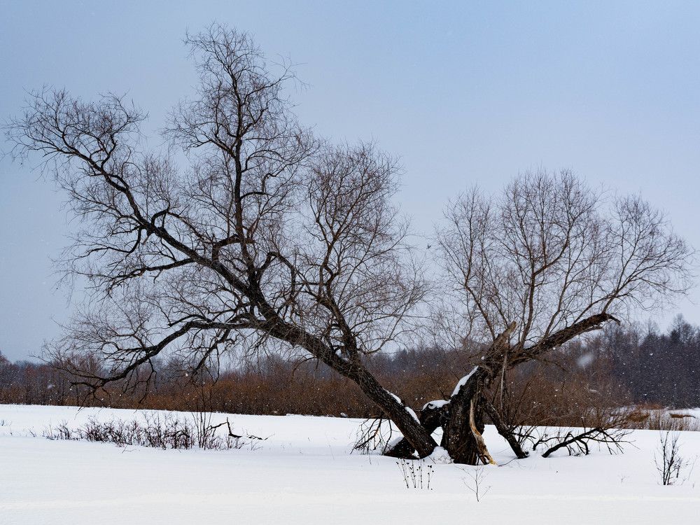Photograph by Людмила