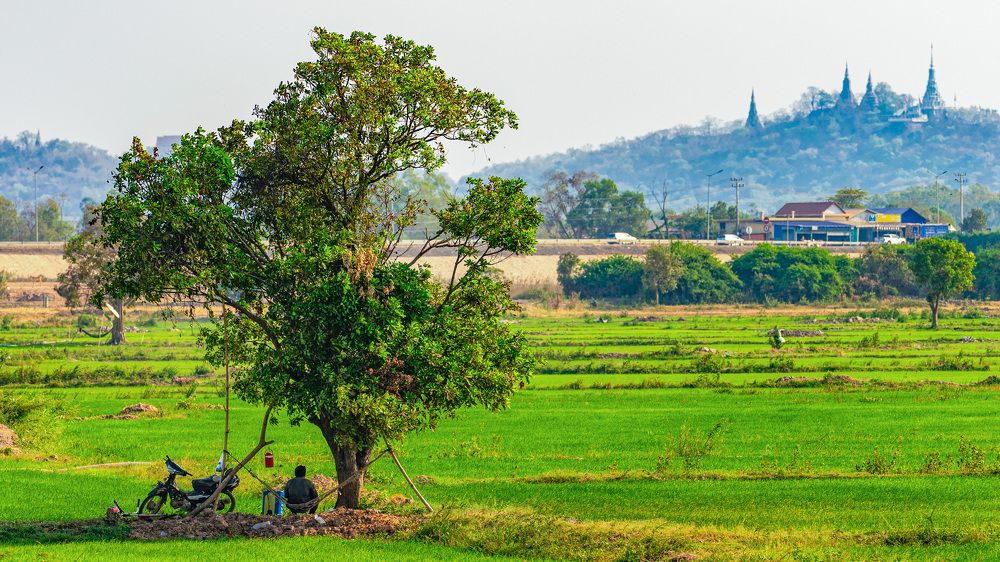 Photograph by Khim Cambo