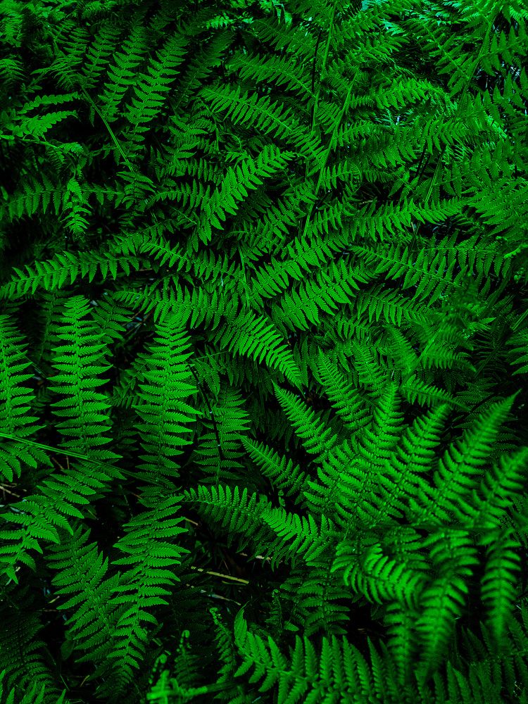 Фотография автора Evgeniy Shabanov