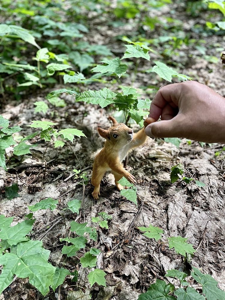 Photograph by Лариса Белашова