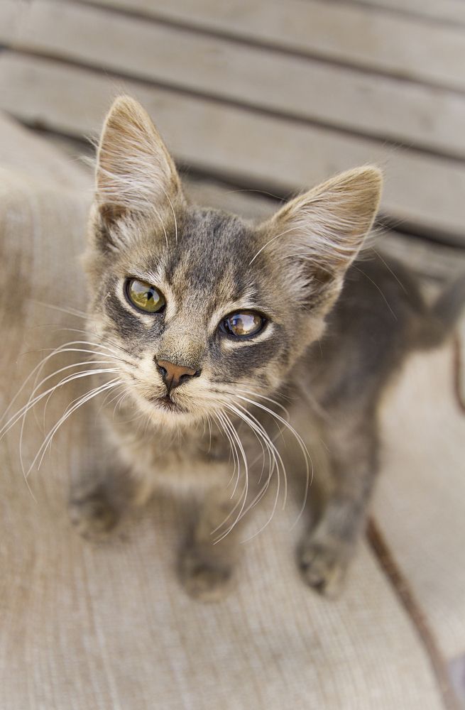 Photograph by Анна Евдокименко