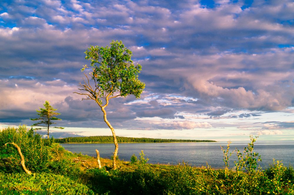 Photograph by Надежда Шапкина