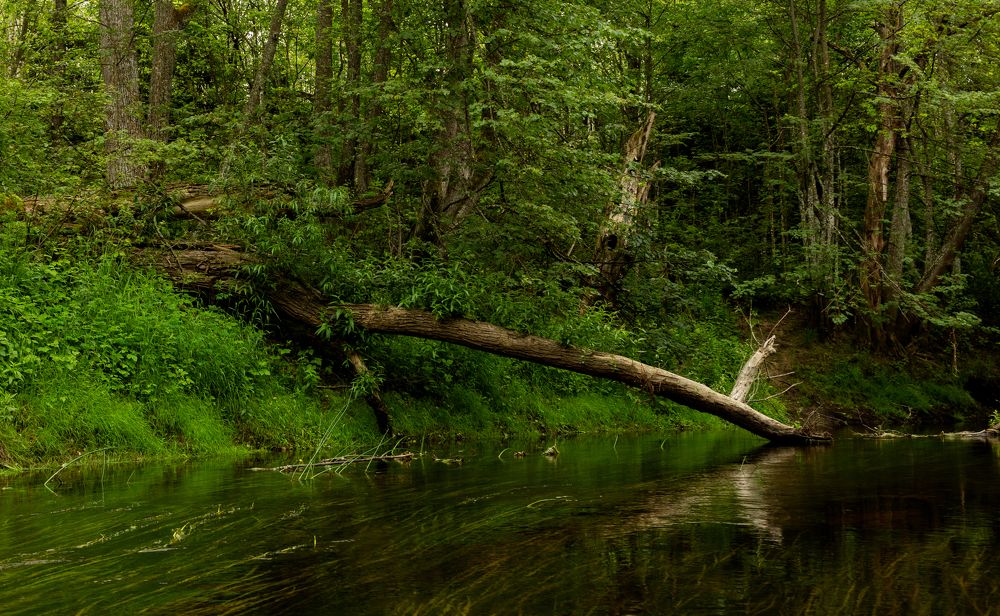 Photograph by Анна Масленникова-Бриль