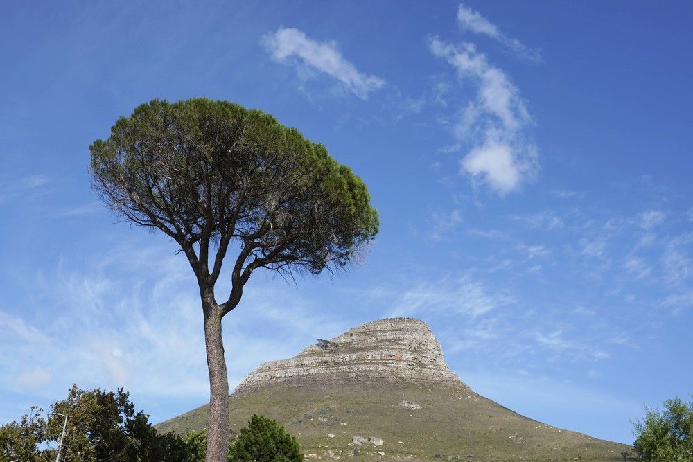 Photograph by Raed Victor Saad