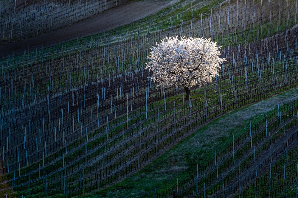 Photograph by konstantin zhdanov