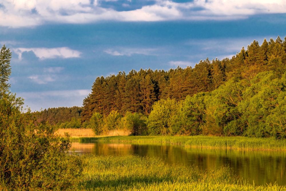 Photograph by Сиваков Алексей