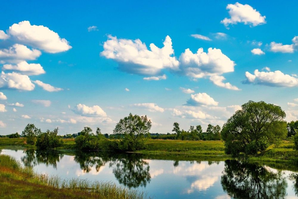 Photograph by Сиваков Алексей