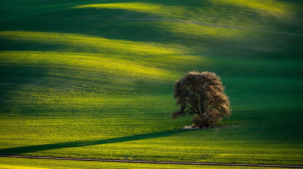 Photograph by konstantin zhdanov