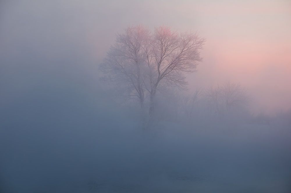 Photograph by Илья Толстоноженко