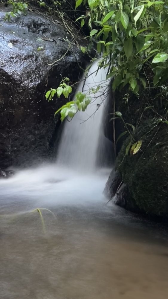 Фотография автора Pra Budi Zulkarnaen