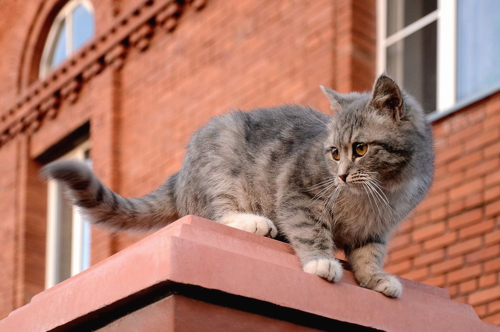 Photograph by Сергей Газизов