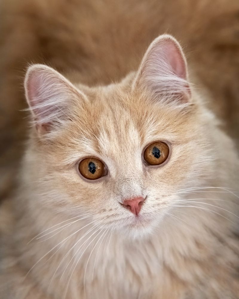 Photograph by Сергей Газизов