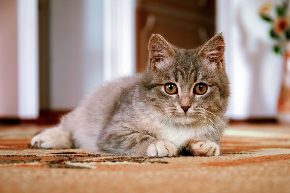 Photograph by Сергей Газизов