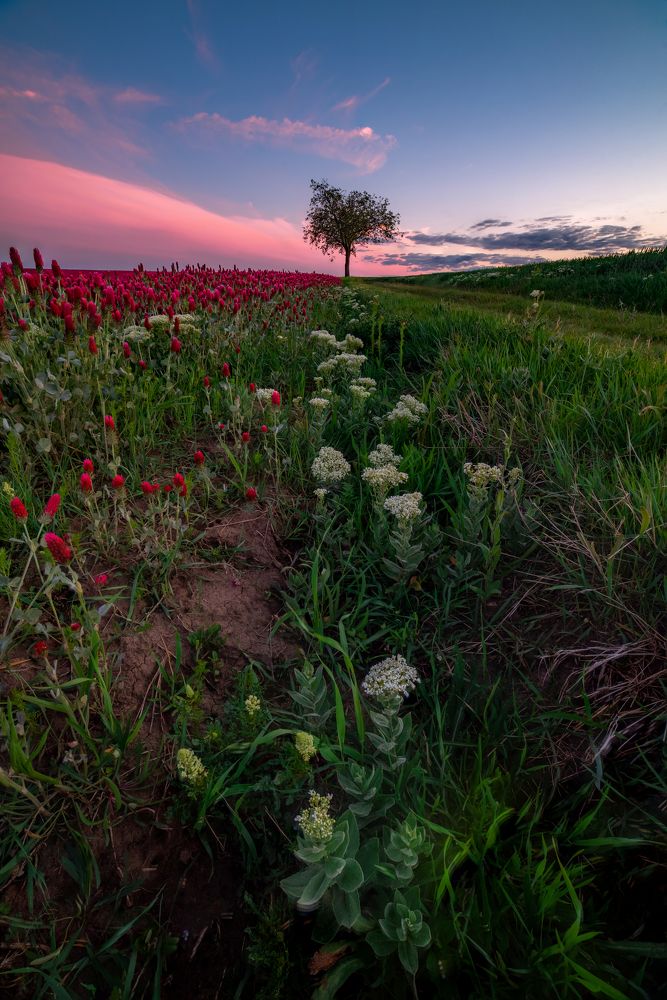 Фотография автора konstantin zhdanov