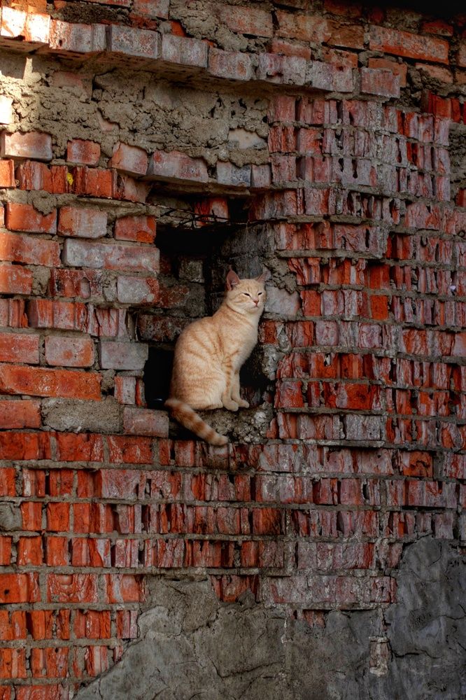 Photograph by Ольга Темкина