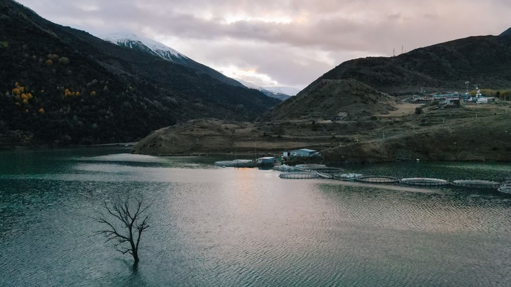 Photograph by Мария Блинова