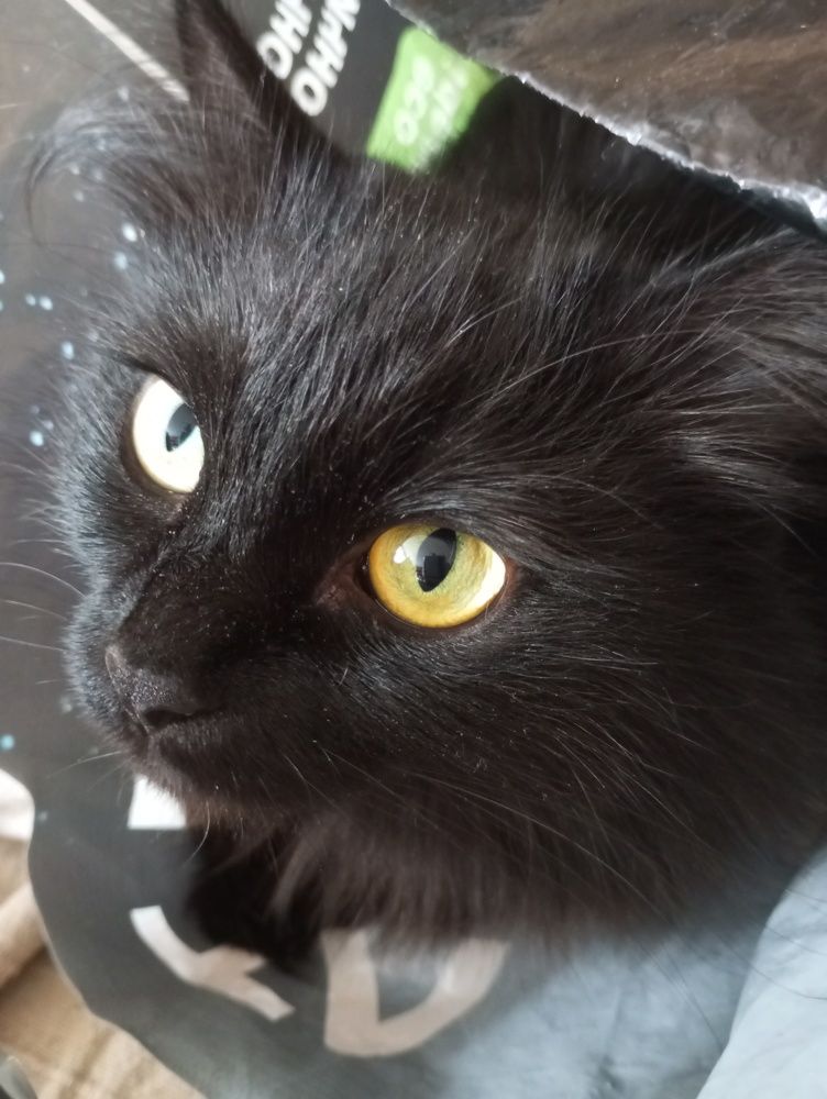 Photograph by Алсу Хусаинова