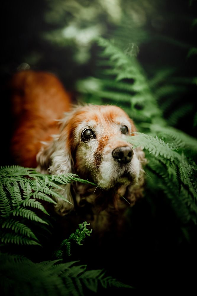 Photograph by Patrycja Dawid