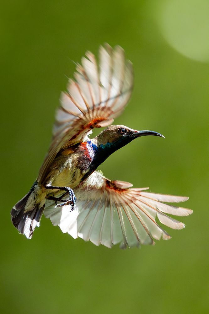 Фотография автора Huy-Vu Le