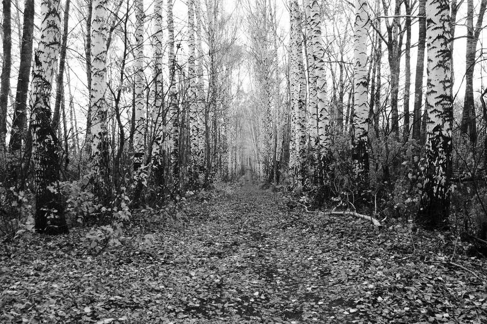 Photograph by Igor Kochkin