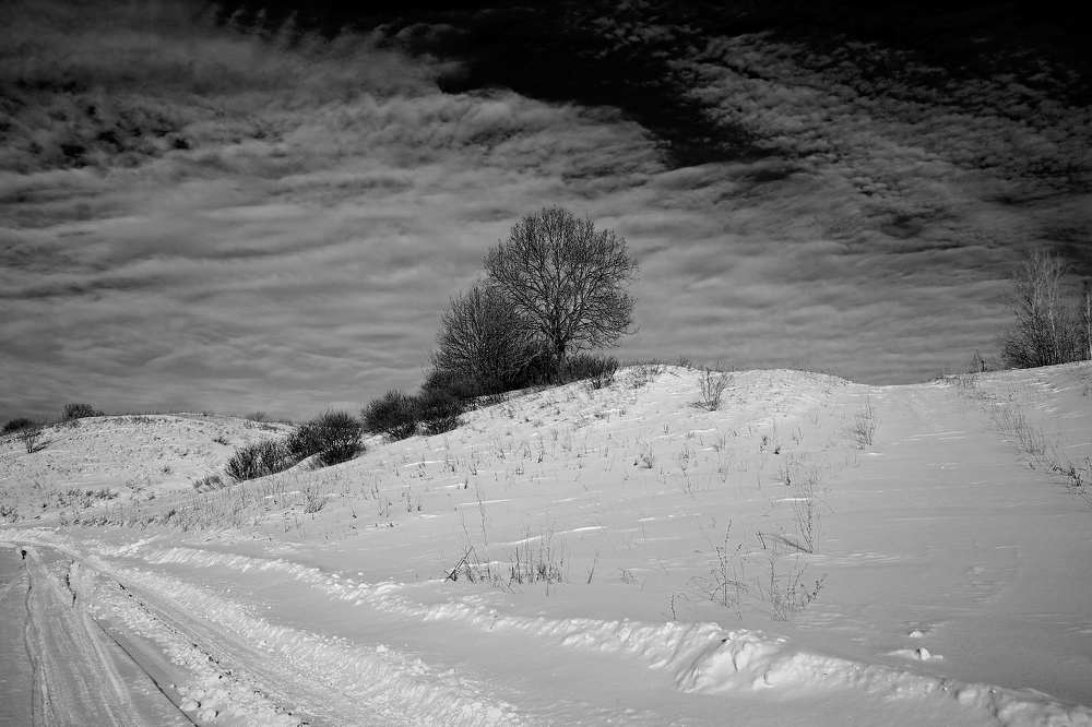 Photograph by Igor Kochkin