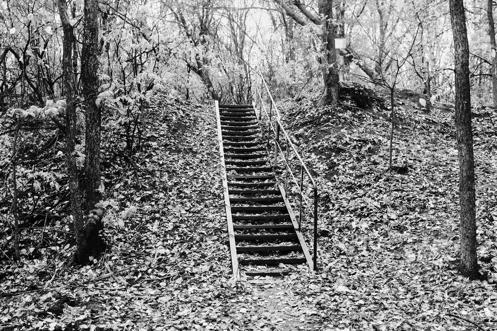 Photograph by Igor Kochkin