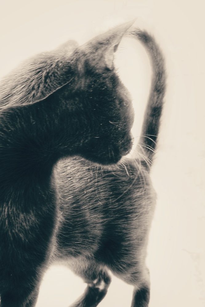 Photograph by fuat cimok