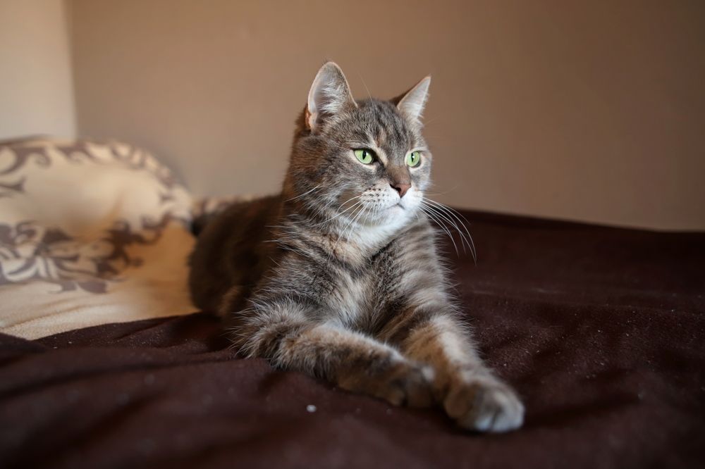 Photograph by Анастасия Солодкая