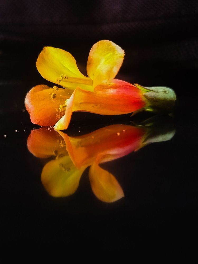 Фотография автора Bernadette Pretorius