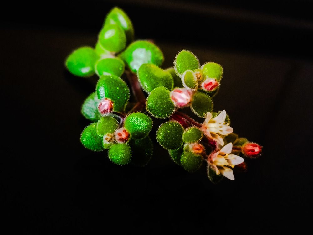 Фотография автора Bernadette Pretorius