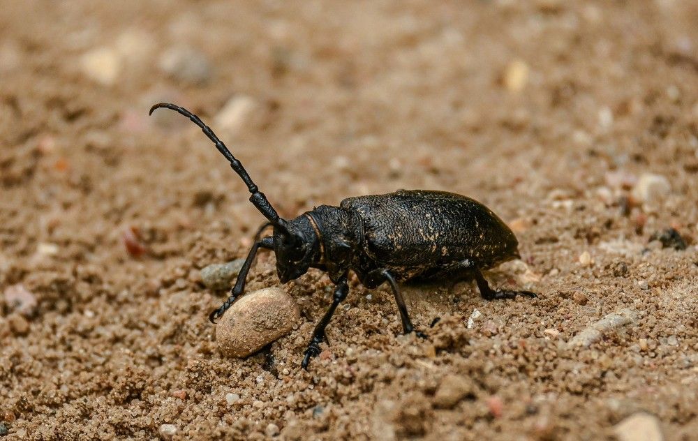 Photograph by Эдуард Щербаков