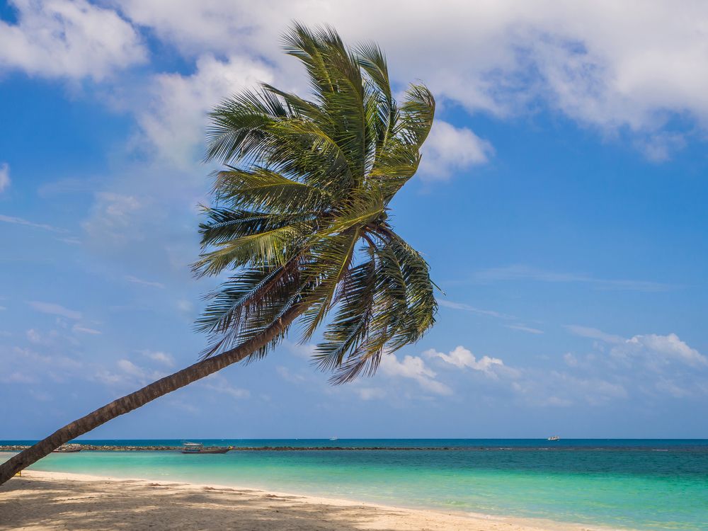 Photograph by Aleksei Kazakov