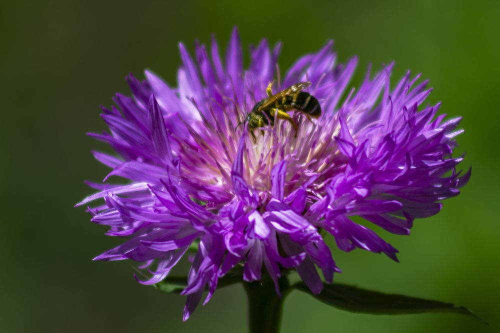 Photograph by Илья Юриков