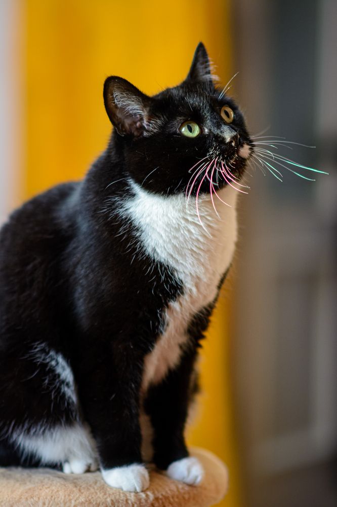 Photograph by Елена Берсенёва