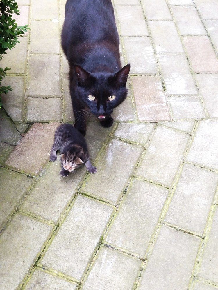 Фотография автора Elena