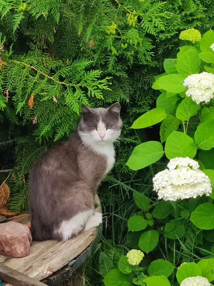 Фотография автора Elena