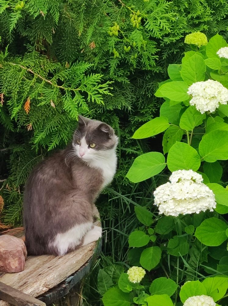 Фотография автора Elena