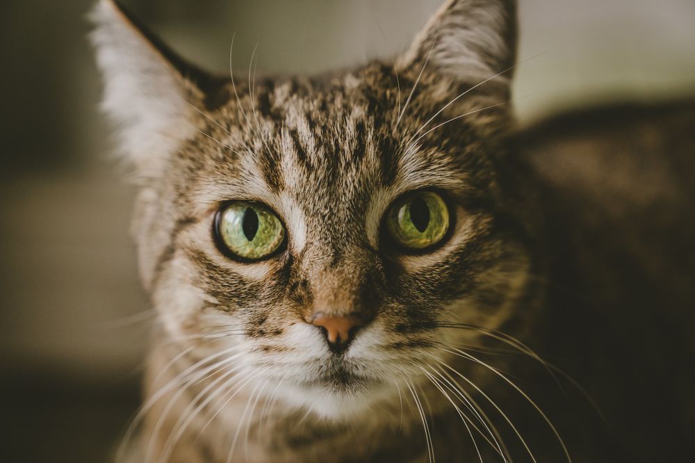 Photograph by Натали Захарова (Тай)