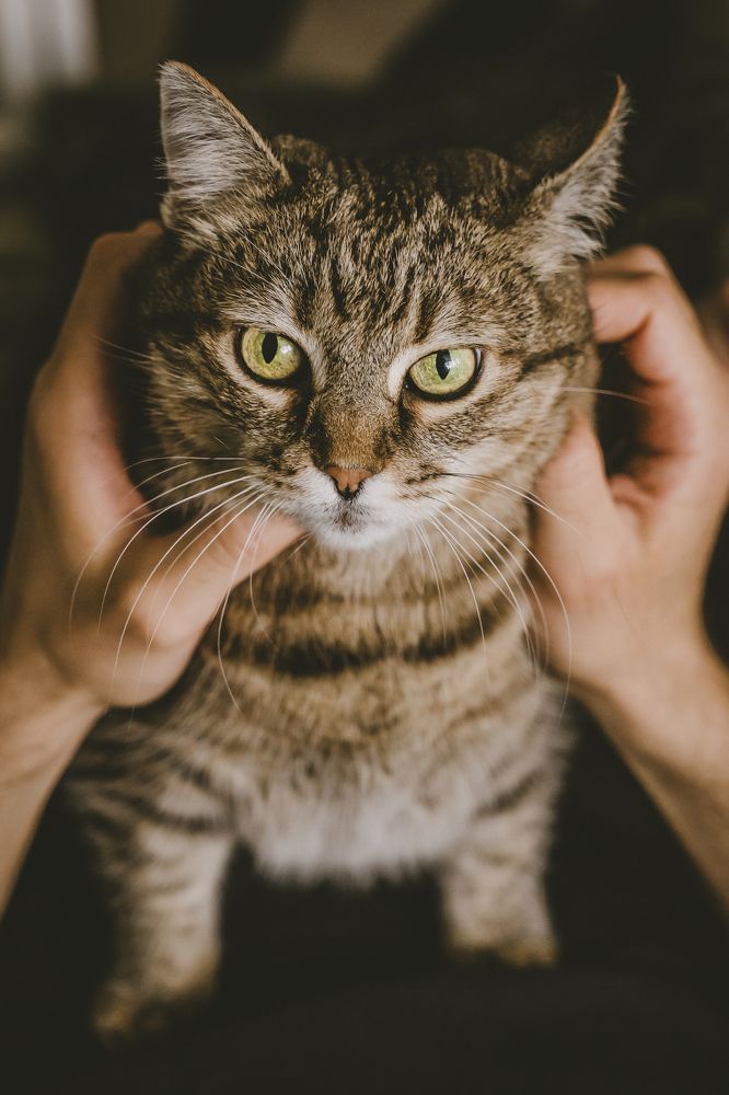 Photograph by Натали Захарова (Тай)