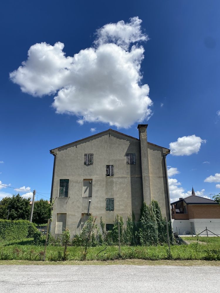 Photograph by Elena Radchenko