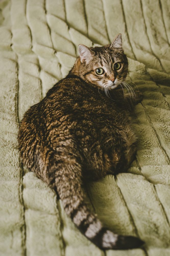 Photograph by Натали Захарова (Тай)