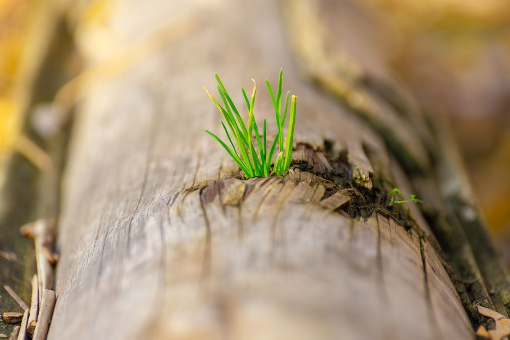 Photograph by Валерий Абдулзябаров