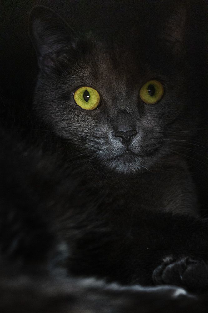 Photograph by Татьяна Ярмак