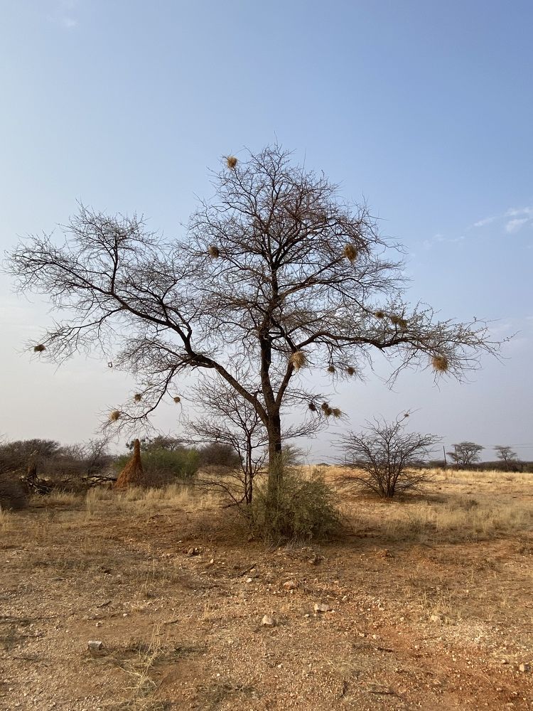 Photograph by Elena Radchenko