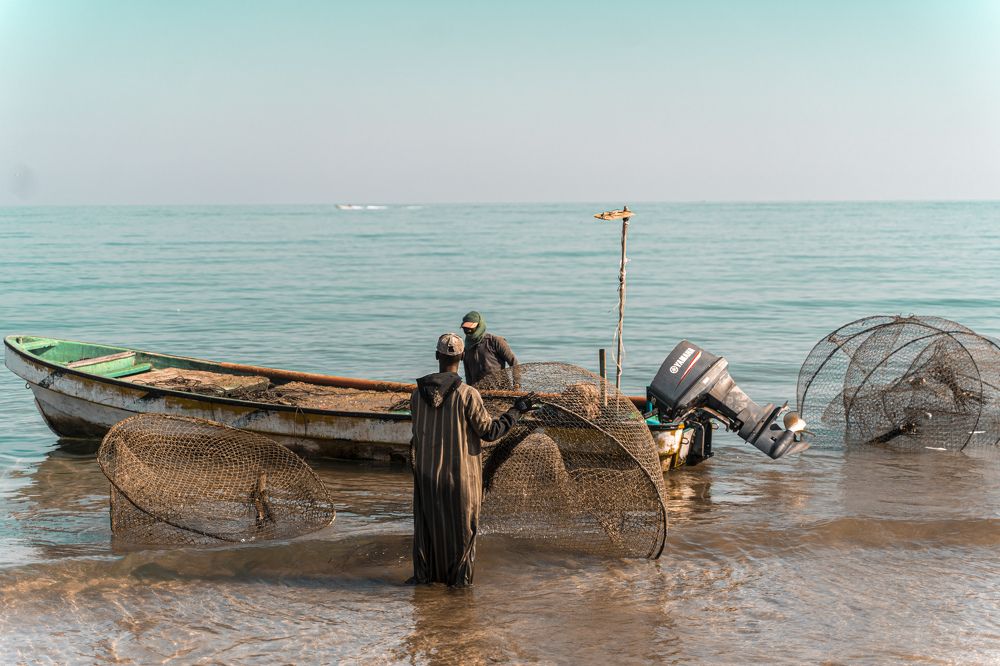 Photograph by Никита Касторный